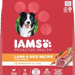 dog food iams